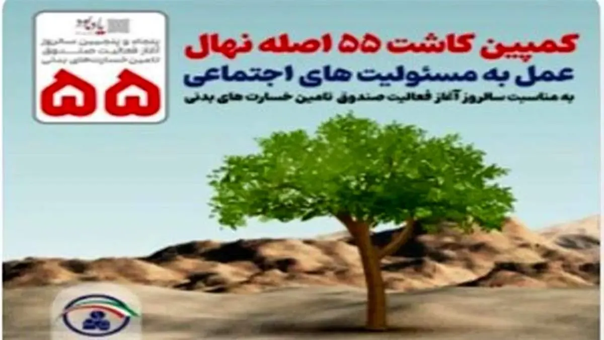 کاشت ۵۵ اصله نهال توسط صندوق تامین به مناسبت سالروز آغاز فعالیت