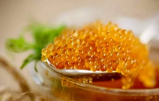 فیلم: تولید گران ترین غذای دنیا در ایران