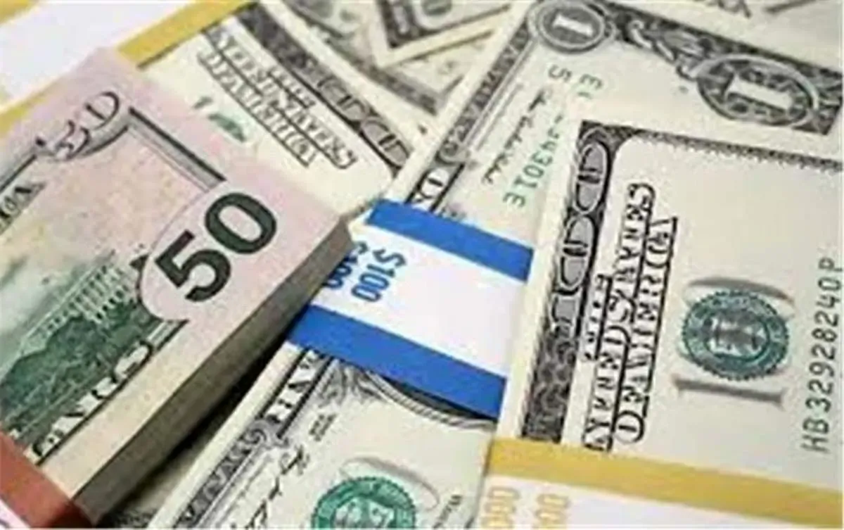 هشدار درباره ریسک ورود به بازار آزاد/ ابزارهای جدید سرمایه‌گذاری معرفی شد