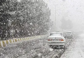 ببینید/ برف شدید در شهرستان فریمان خراسان رضوی