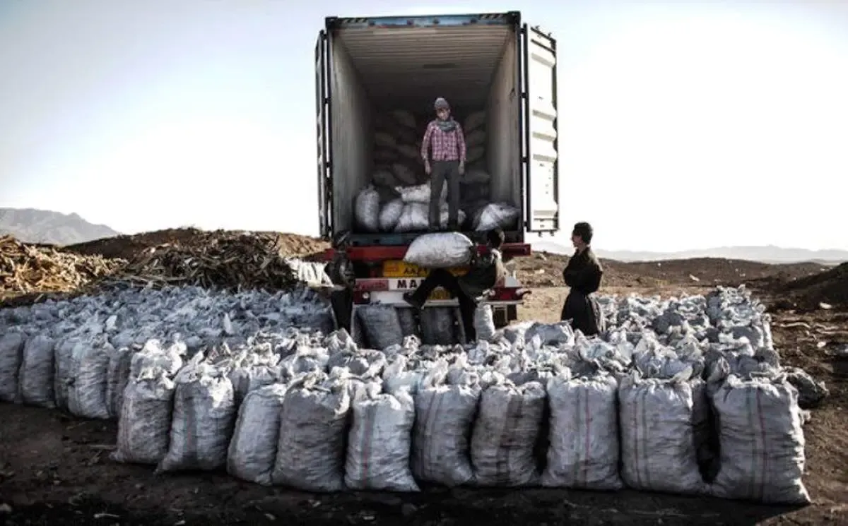 باند قاچاق زغال بلوط در خرم آباد متلاشی شد