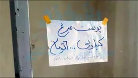 خانواده‌های کم درآمدی که از سر ناچاری «پوست مرغ» می‌خورند!