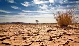 بحران بی‌آبی شیراز از تهران شدیدتر است