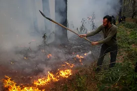 ماجرای آتش‌سوزی ۸ هکتار از جنگل‌های الیت در شمال