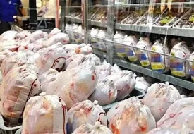 مرغ به ۱۶۰ هزار تومان رسید