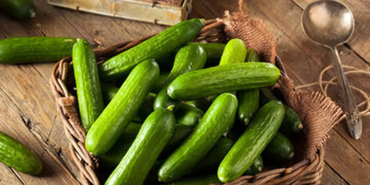 قیمت خیار نجومی شد / قیمت جدید میوه‌های تابستانی اعلام شد