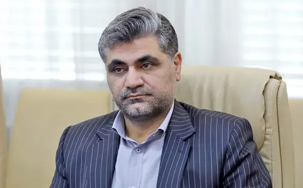 راهبرد ترکیبی در مواجهه با اسنپ بک