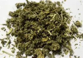 فروشنده مواد توهم‌زا در اینستاگرام با هزاران فالوور دستگیر شد