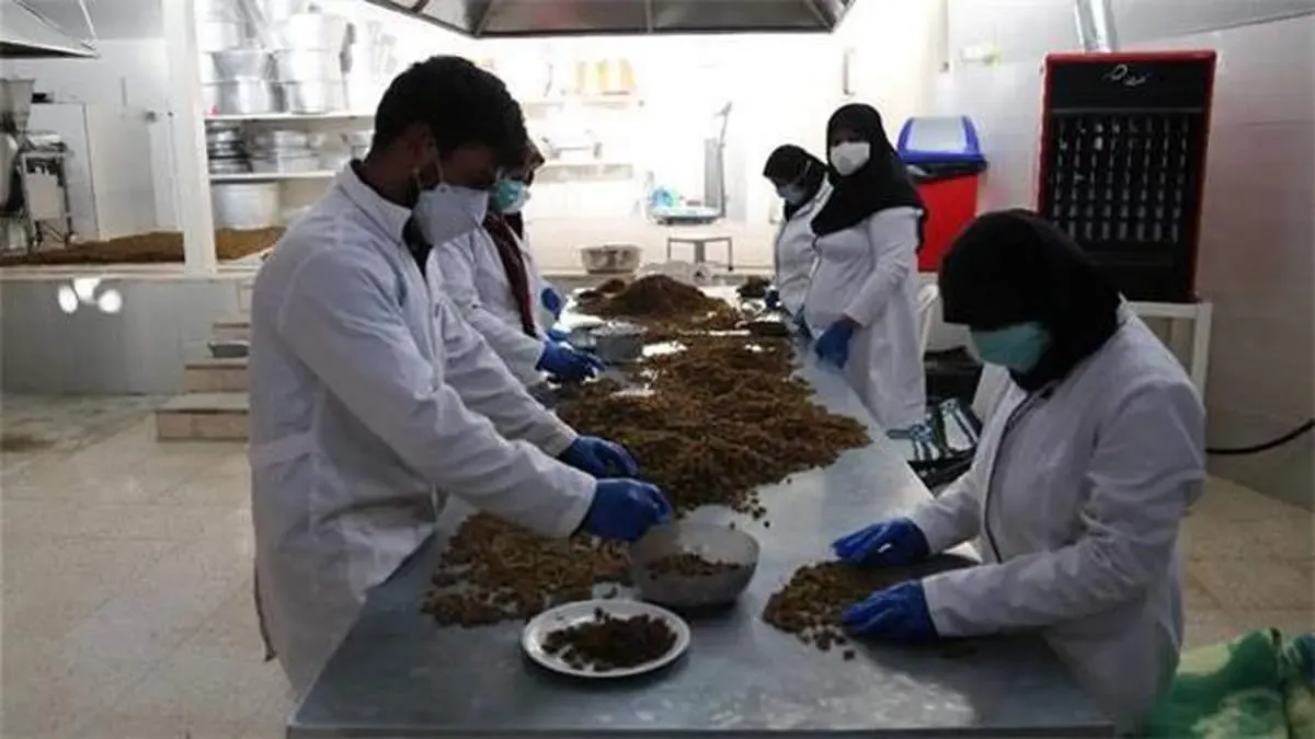 تلاش 27 تسهیل‌گر برکت در دیار ستارخان و باقرخان