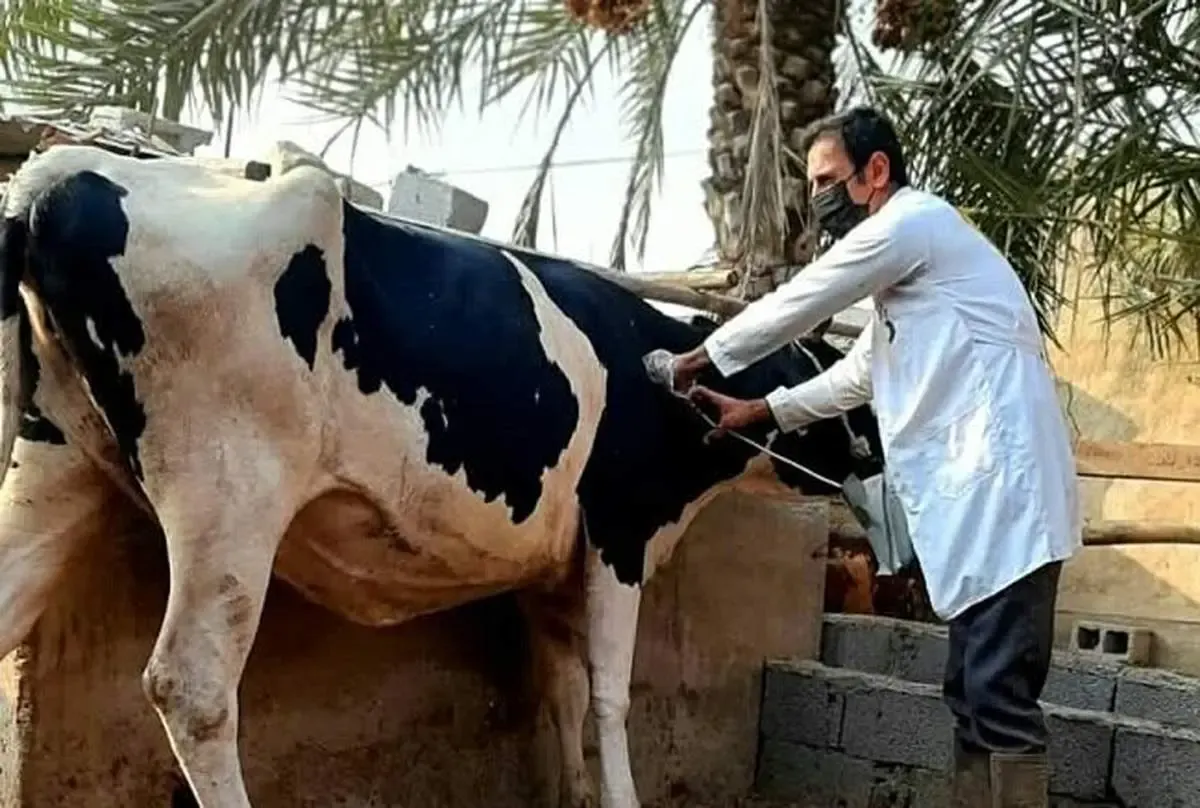 هشدار به ایرانی ها: تب برفکی تا ۸۰ کیلومتر قابل انتشار است