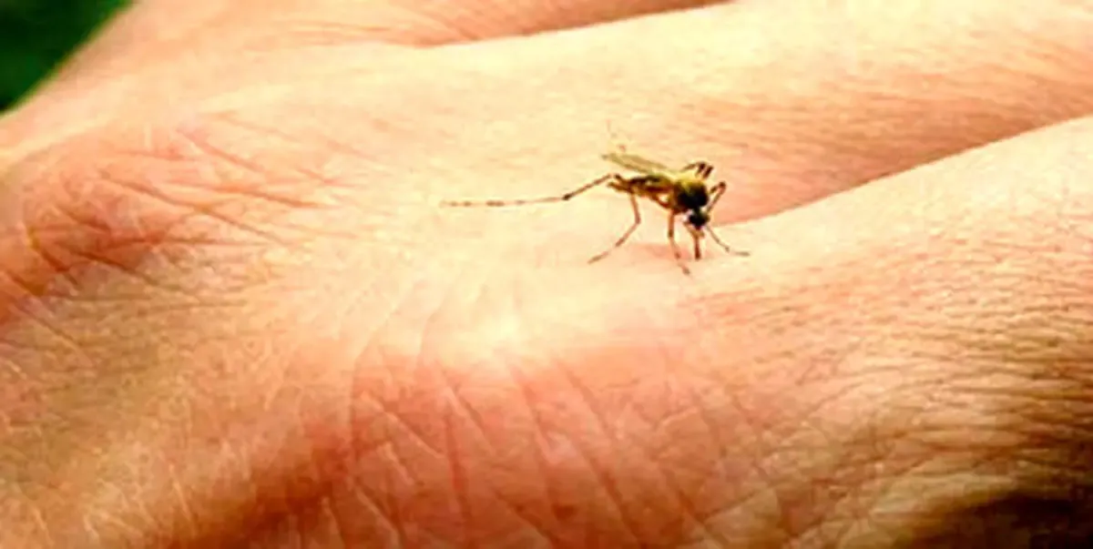 هشدار به تهرانی ها؛ یک بیماری همه‌گیر استخوان‌سوز در راه است