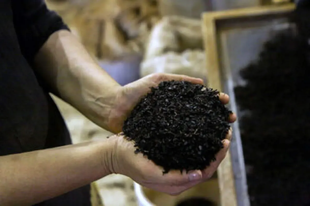 کشف چای تریاکی در فرودگاه امام