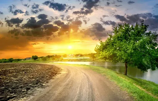 این رفتارها را هرگز انجام ندهید