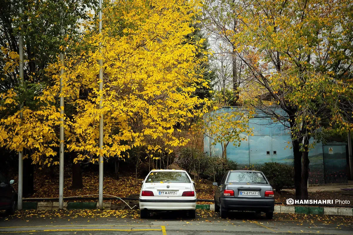 هواشناسی خبر خوش داد/ تشدید بارش‌ها از فردا؛ سامانه جدید سه‌شنبه وارد می‌شود