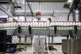 قیمت محصولات لبنی گران تر از حد معمول شد