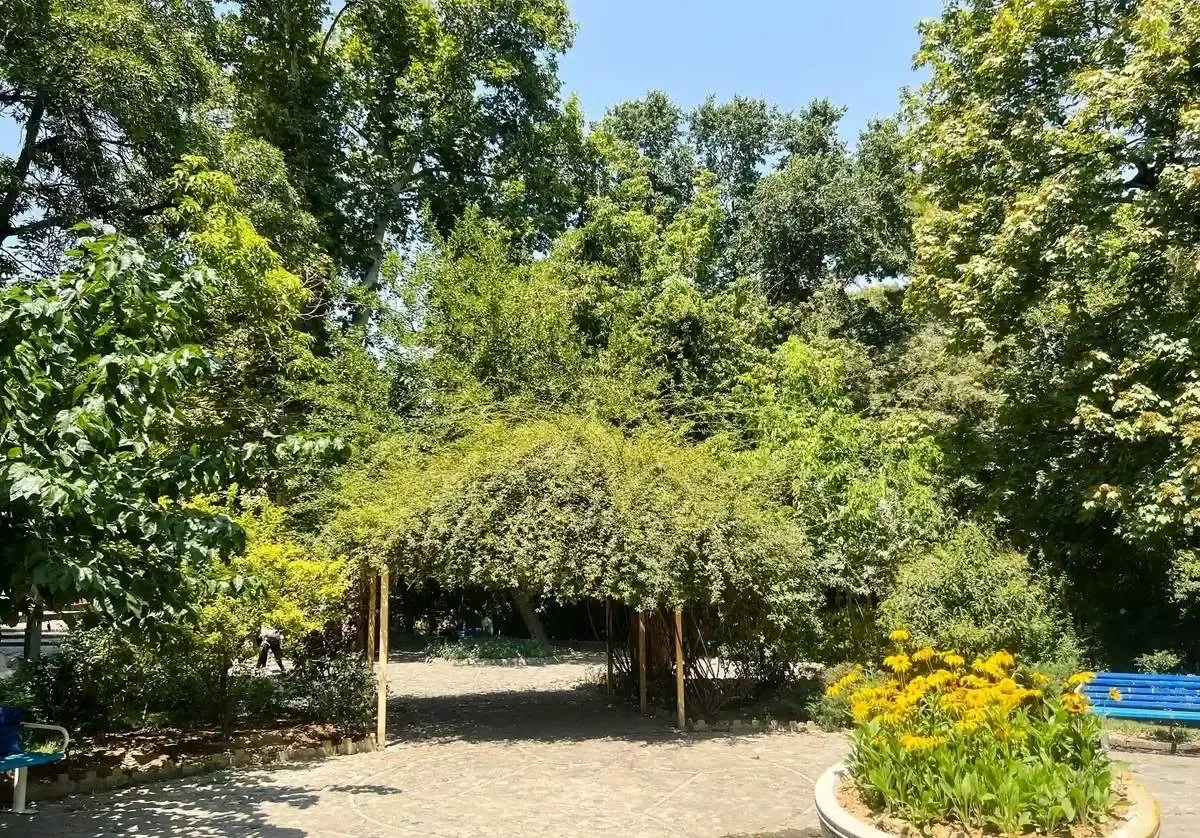 فیلمی از وجود ۴۰ درخت تنومند در محل ساخت مسجد پارک قیطریه