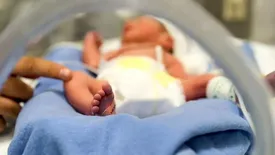 نوزاد ۵ ماهه گلستانی بر اثر شکستن قلنج فلج شد