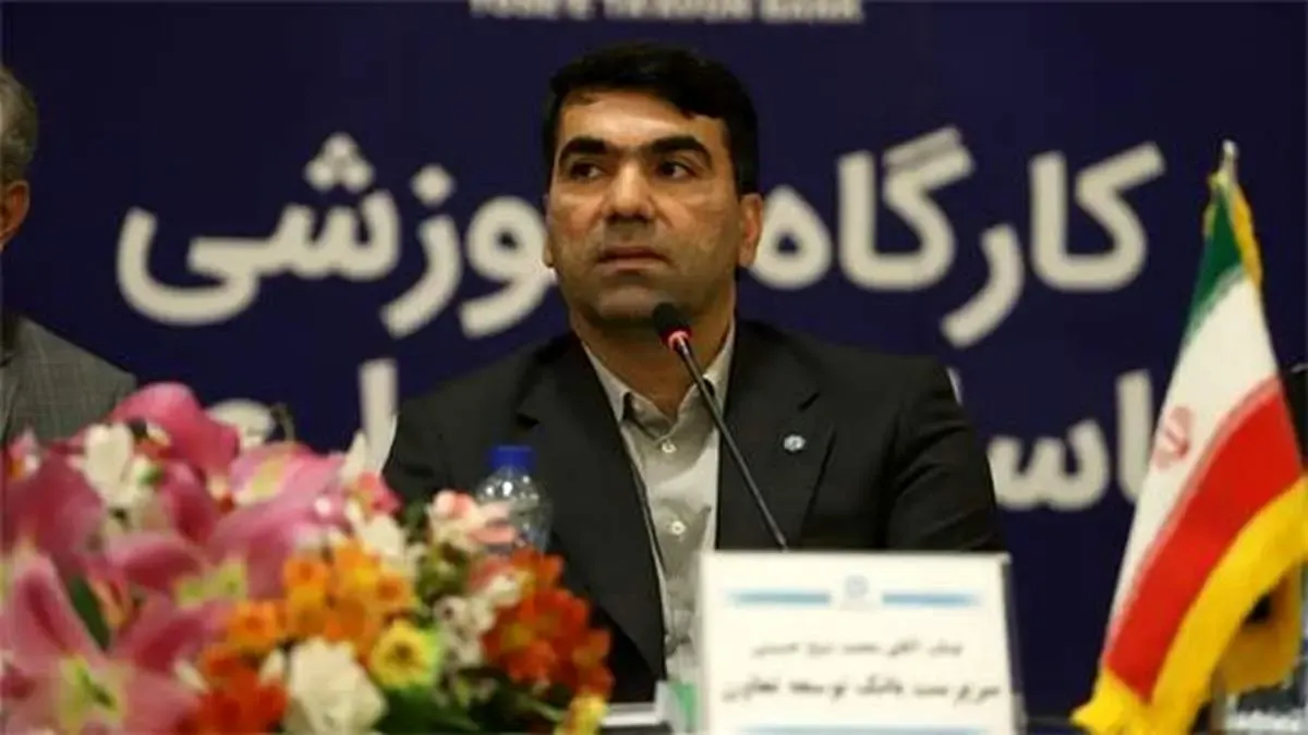 روابط عمومی توسعه محور، ایده پردازی و نقادی می کند