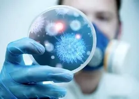 متاپنوموویروس چه کسانی را تهدید می‌کند؟