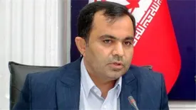 تحلیل صورت های مالی بانک ملی ایران به شکل تجاری،‌ ممکن نیست