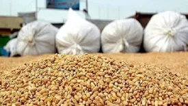 پرونده نهاده های دامی با استعفای وزیر  و تعقیب قائم مقامش