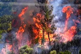 آتش‌سوزی در جنگل‌های سیاهکل و رودبار