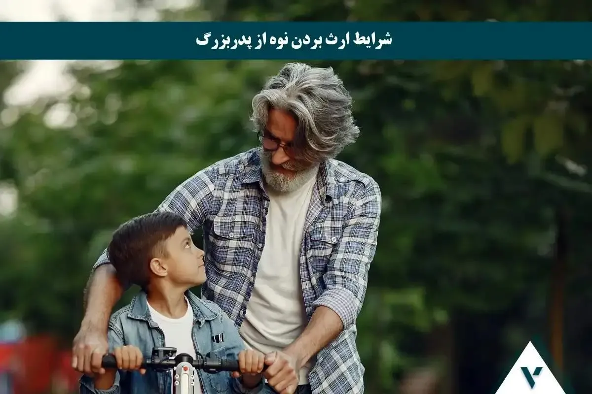 آیا نوه ها هم از ارث پدربزرگ سهم دارند؟ پاسخ حقوقی به یک سوال خانوادگی