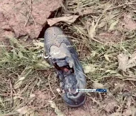 تصویری تلخ از کفش سوخته شهید مالک رحمتی استاندار تبریز/ عکس