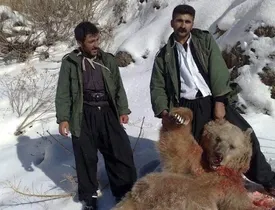 جریمه شکار حیوانات مختلف تعیین شد؛
از یک‌میلیارد و ۴۰۰ میلیون تا دو میلیون‌و ۱۰۰ هزار