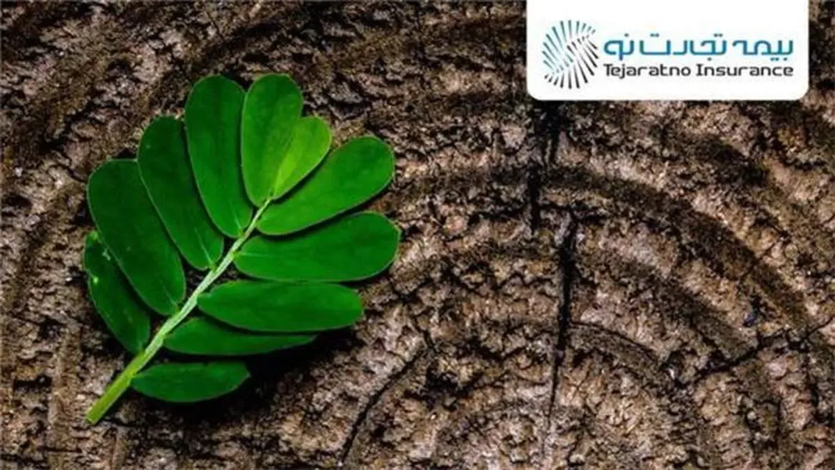 نقش آفرینی بیمه تجارت‌نو در عرصه های مختلف مسئولیت اجتماعی