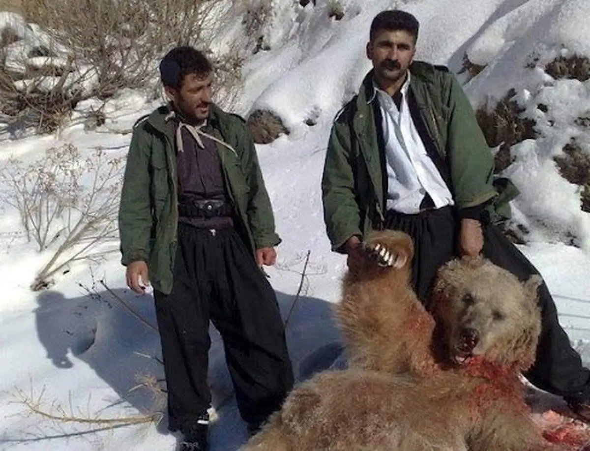 جریمه شکار حیوانات مختلف تعیین شد؛
از یک‌میلیارد و ۴۰۰ میلیون تا دو میلیون‌و ۱۰۰ هزار