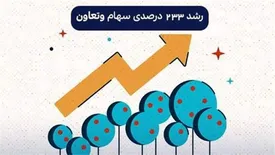 رشد 233 درصدی سرمایه «وتعاون»