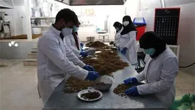 تلاش 27 تسهیلگر برکت در دیار ستارخان و باقرخان