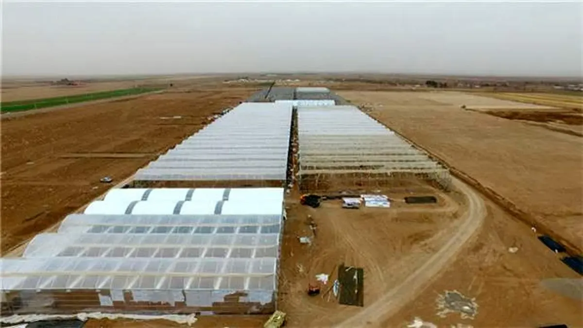 اختصاص 60 درصد مشاغل برکت به حوزه کشاورزی و امنیت غذایی