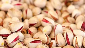 پسته ارزان شد