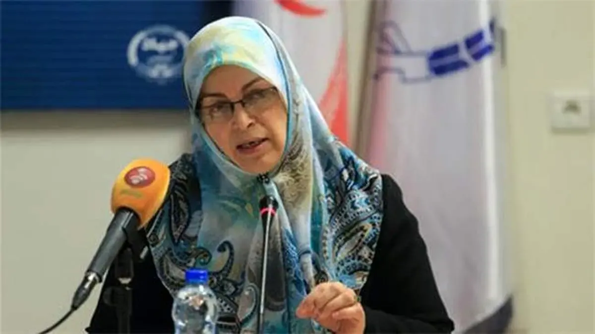 مشارکت حداکثری و انتخابات پرشور از دغدغه‌های مدیران صدا و سیما نیست/ تعویق زمان برگزاری انتخابات در قانون در نظر گرفته شده/ برنامه حزب اتحاد ملت برای اداره کشور تدوین شده است