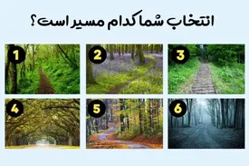 تست شخصیت جنگلی/ مسیر انتخابی شما از ویژگی‌های پنهان‌تان خبر می‌دهد