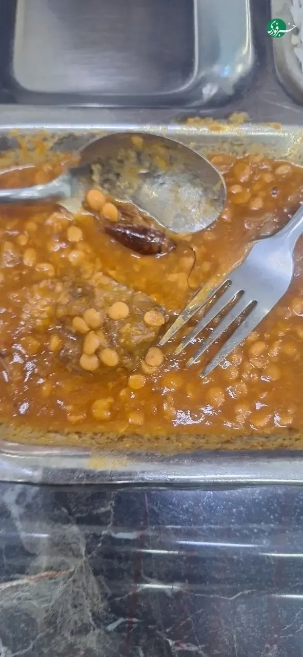 غذای دانشجویی غذای دانشجویی