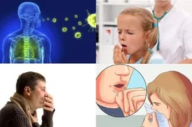 کشنده‌ترین بیماری عفونی جهان اعلام شد