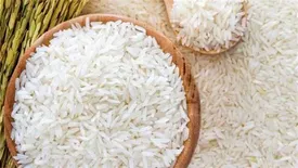افزایش قیمت برنج ایرانی تا ۴۶ هزار و ۵۰۰ تومان