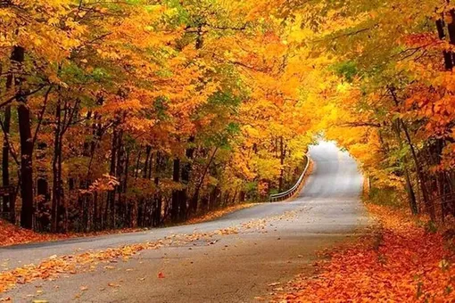 ایران زیباست / سمفونی پاییز + فیلم