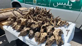 کشف ۴۱ جمجمه در چاهی در شاهینشهر