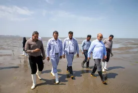 پایش حرا کاری های شرکت نفت ستاره خلیج فارس در سواحل خلیج فارس