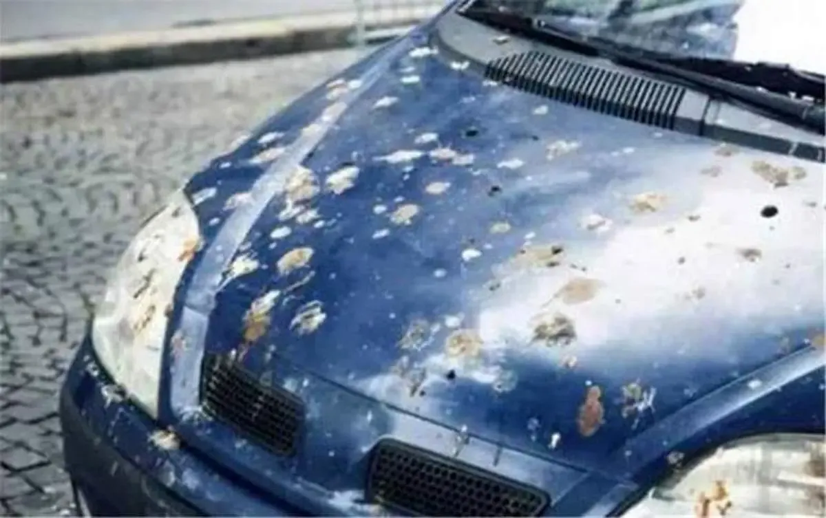 خسارت‌های بارش باران اسیدی؛ پوسته شدن رنگ خودروها