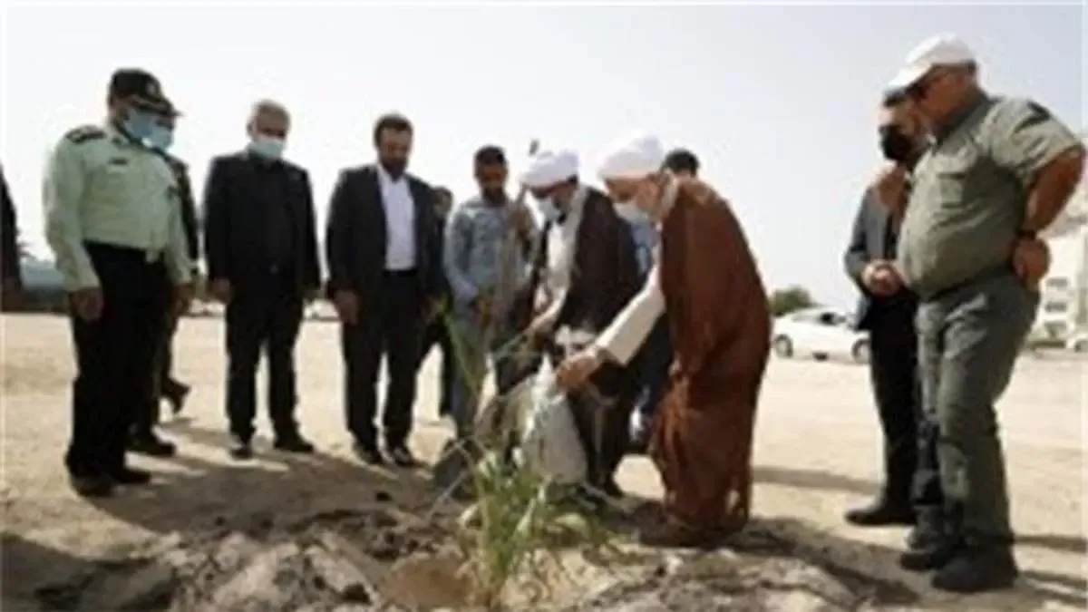 کاشت یازده نوع نهال میوه به مناسبت روز درختکاری در کیش