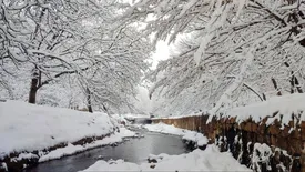 برف سنگین در تبریز/ ببینید