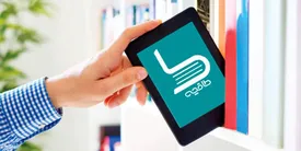 چرا پلمپ کسب و کارها به راه حل چالشی تبدیل شده است؟