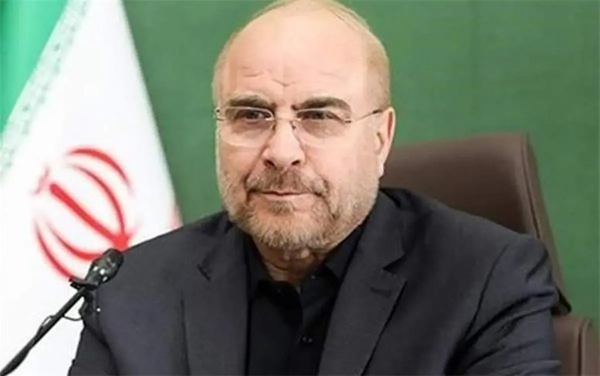 هرکس که بخواهد با افترا آبروی مجلس را ببرد مورد پیگیری قرار خواهد گرفت