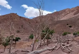 بارندگی در تهران و البرز 30 درصد کم شده!