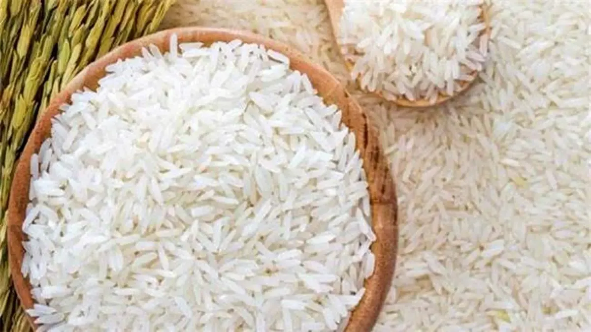 افزایش قیمت برنج ایرانی تا ۴۶ هزار و ۵۰۰ تومان